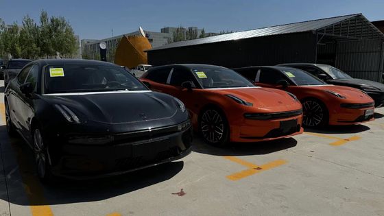 Zeekr 001 You 버전 100kW/h 전기 자동차