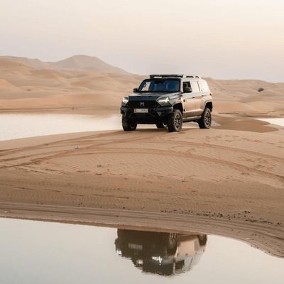 대형 SUV Mhero 917 전기차/SUV 하이브리드/ 자동 변속기와 함께 확장 범위 자동차