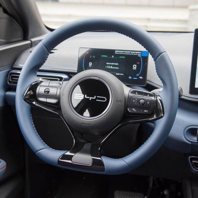 2024 전기 자동차 미니 자동차 Byd Seagull 405km 비행 버전 검은색