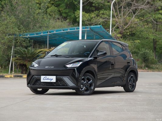 연료 유형 Mgnt 인증 ISO14001 Byd Seagull 2024 영광판