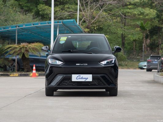 연료 유형 Mgnt 인증 ISO14001 Byd Seagull 2024 영광판