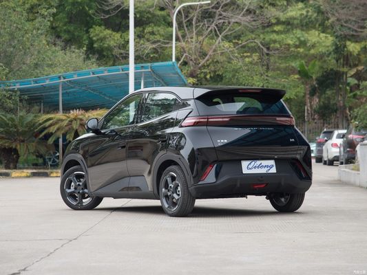 연료 유형 Mgnt 인증 ISO14001 Byd Seagull 2024 영광판