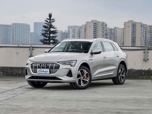 아우디 E-Tron 2021 50 쿼트로 전기 SUV 전자 자전 제동 시스템으로 사용