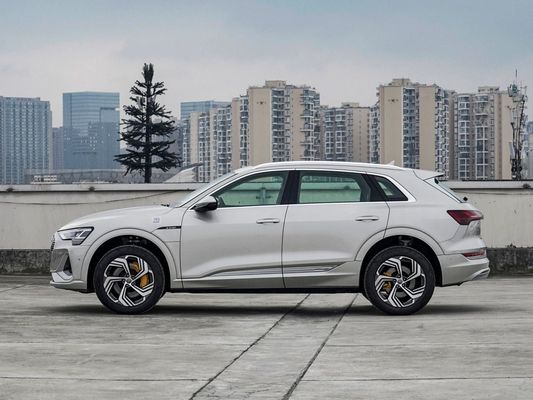 아우디 E-Tron 2021 50 쿼트로 전기 SUV 전자 자전 제동 시스템으로 사용