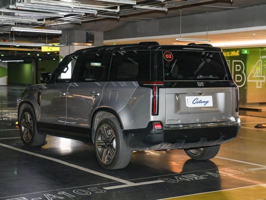 폐쇄형 카리더 타입 커스터마이징 2023 엔인드 에디션 6석 SUV