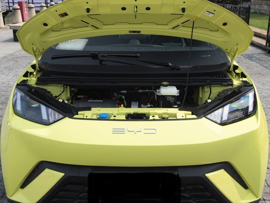 전기 연료 유형 사용자 정의 2023 Byd 해상 거북이 405 Km 현대 자동차 에너지 차량