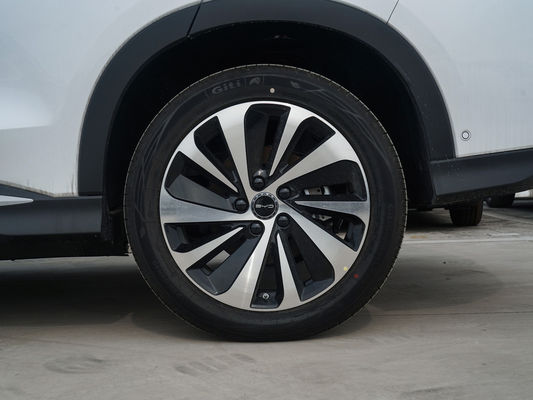닫힌 카리더 타입 커스터마이징 플러스 EV 605 글로리 버전 SUV