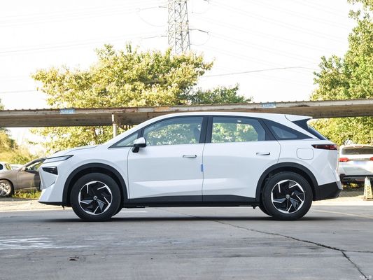 맞춤형 요청 자동차 전기 차량 EV SUV 둥펑 베누시아 Vx6 520 PRO 2023