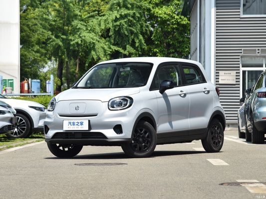 마이크로카 자동차 전기 차량 EV 리프 T03 2023 310 Qingxiang 사용자 지정 요청