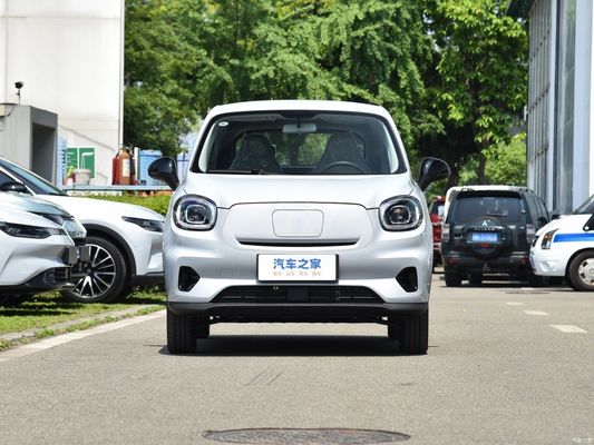 마이크로카 자동차 전기 차량 EV 리프 T03 2023 310 Qingxiang 사용자 지정 요청