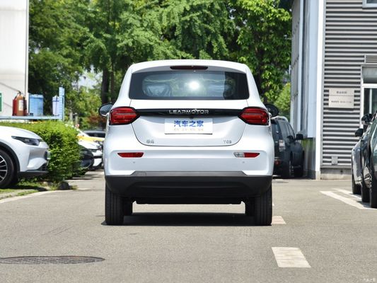 마이크로카 자동차 전기 차량 EV 리프 T03 2023 310 Qingxiang 사용자 지정 요청