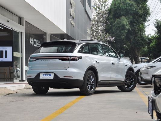리프모터 C11 500 스마트 에디션 SUV EV 전기 차량 온라인/지방 판매 후 서비스