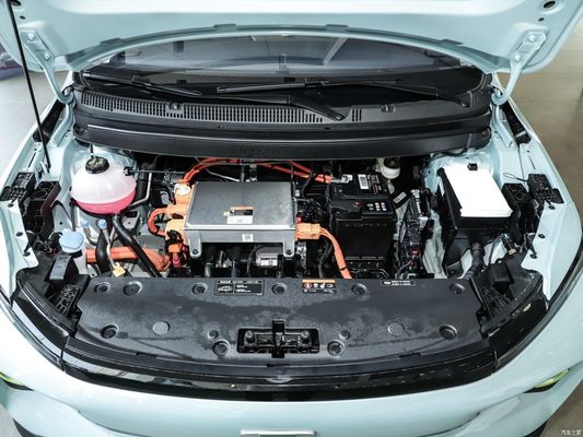 에너지 타입 순수 전기 기하학 E-320km Happy Tiger EV SUV EPB 브레이킹 시스템 2023