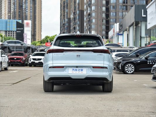 뷰이크 E5 젠시안 장거리 전기 차량 EV 온라인 / 로컬 사후 서비스