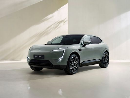 48V 전기차 2023 아바타11 SUV 울트라 장거리 5석 단동기 버전