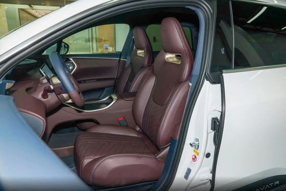 2023 아바타 11 울트라 장수 단일 엔진 버전 5 좌석 P0000040 SUV 장수