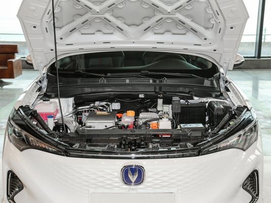 맥퍼슨 독립식 서스펜션 및 최고 속도는 145km/h 2022 춘천 이아도 EV460 EV 자동차