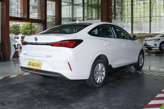 차난 에아도 자동차 EV460 전기 차량 EV, LiFePO4 배터리와 4 좌석