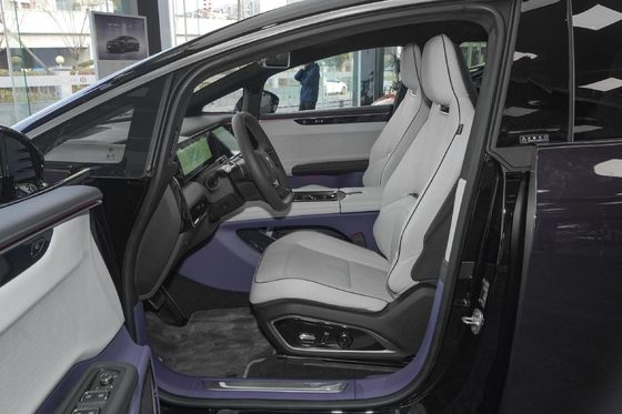 에너지 차량 2021 히피 X 럭셔리 버전 6석 SUV EV 220kw 에너지 타입 전기