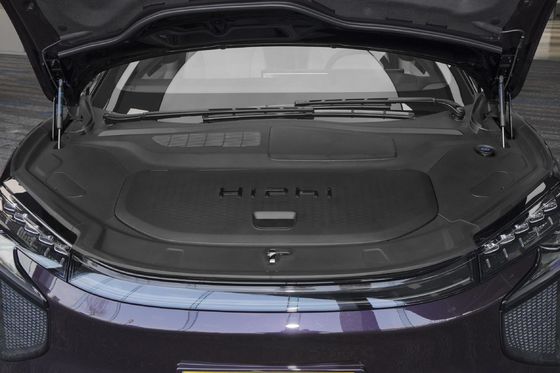 에너지 차량 2021 히피 X 럭셔리 버전 6석 SUV EV 220kw 에너지 타입 전기