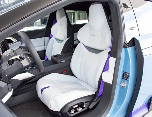 494kw 후면 서스펜션 폼 파이브 링크 독립 서스펜션 2023 히피 Z 4석 전기 자동차 SUV