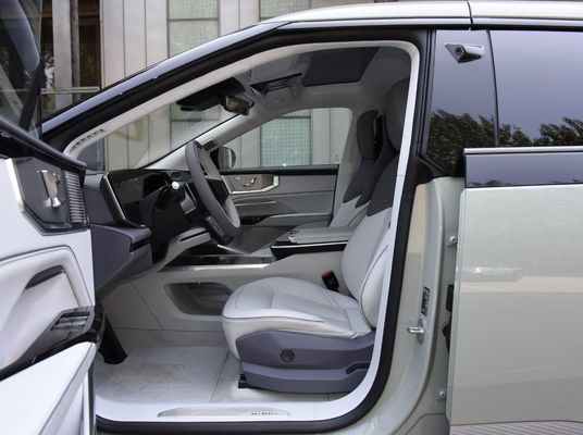 히피 Y 2023 560km 파이오니어 버전 SUV 전기 자동차 온라인 / 로컬 판매 후 서비스
