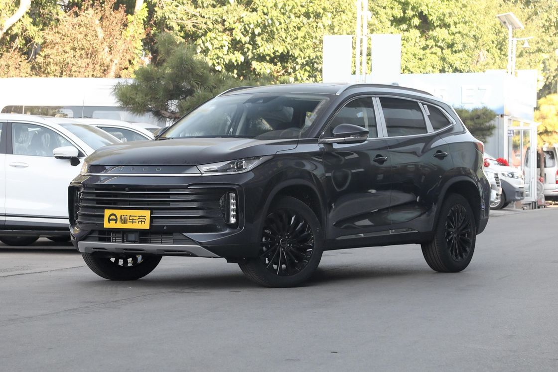 맞춤형 요청 2023 Exeed 300t 2WD Exeed 닫힌 바디 타입 및 사용자 정의