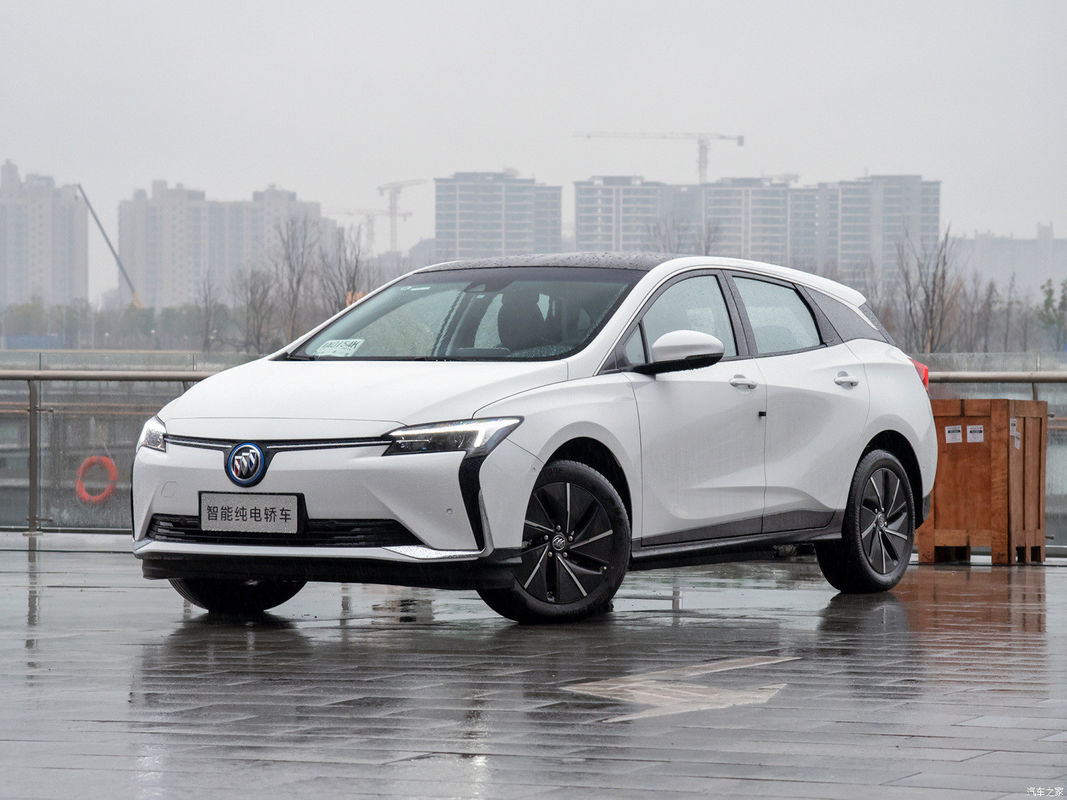 커스터마이즈드 요청 전기차 2022 베일리트 6 EV 지능형 플러스 에디션
