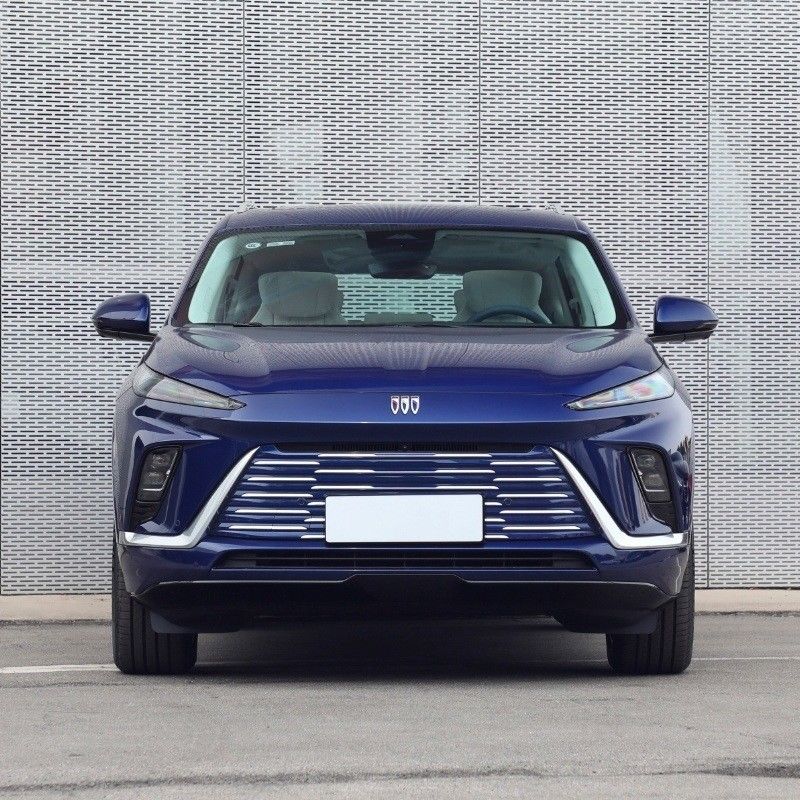 순수 전기 SUV 뷰이크 E5 아비엔어 5석 5도어 4륜구동 4892*1905*1684