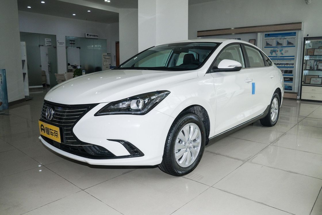 SUV 차난 에아도 에너지 2022 EV460 지능형 승차-대행판 순수 전기 엔진과 라이프포4 배터리