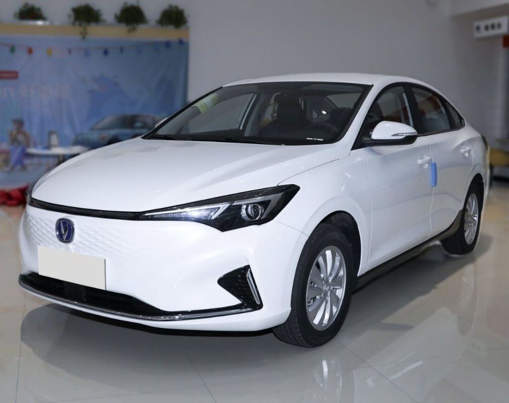 좌측 스티어링 세단 차간 에아도 전기 차량 자동차 EV460 세단 성능