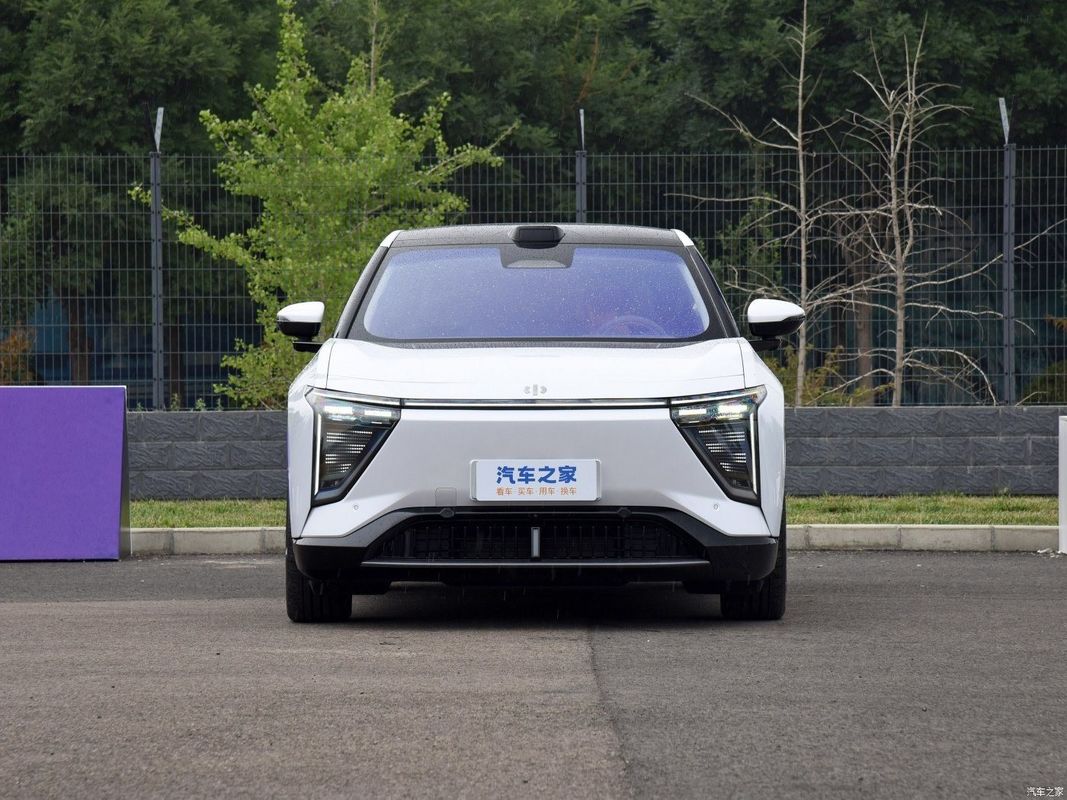 히피 Y 전기 자동차 SUV 5 좌석 810km 장거리 및 SUV 구조
