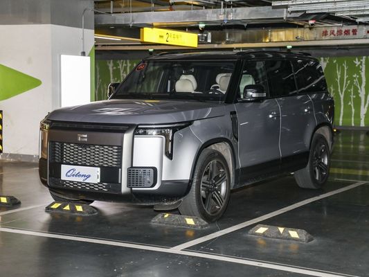 폐쇄형 카리더 타입 커스터마이징 2023 엔인드 에디션 6석 SUV